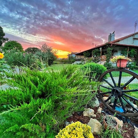 Villa Ivonnis Garden Mesimvria  Exterior foto