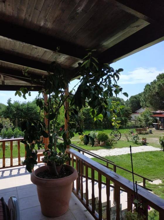 Villa Ivonnis Garden Mesimvria  Exterior foto