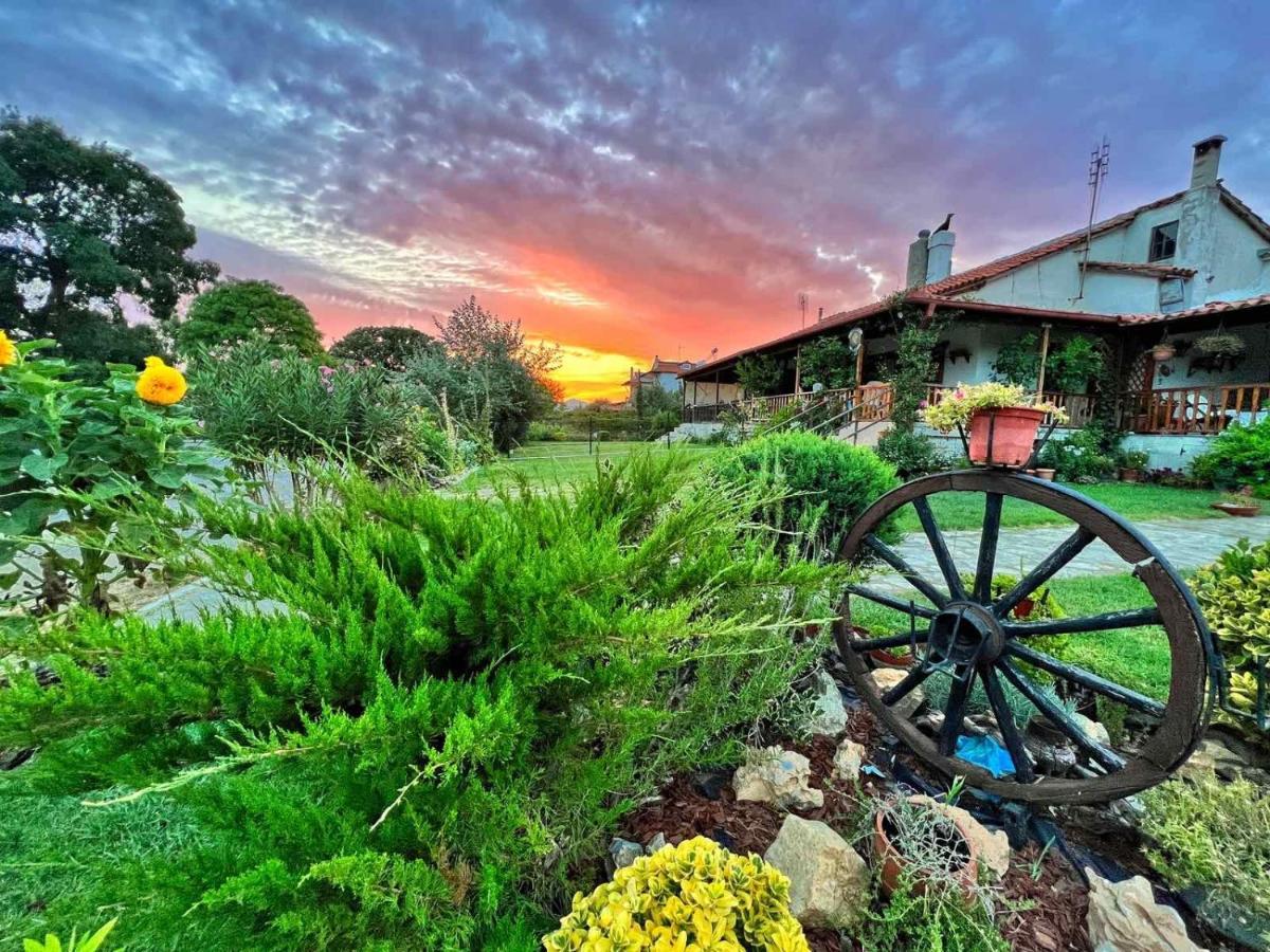 Villa Ivonnis Garden Mesimvria  Exterior foto
